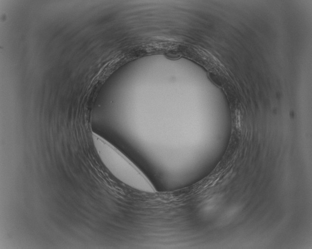 X0000069810915200605190841