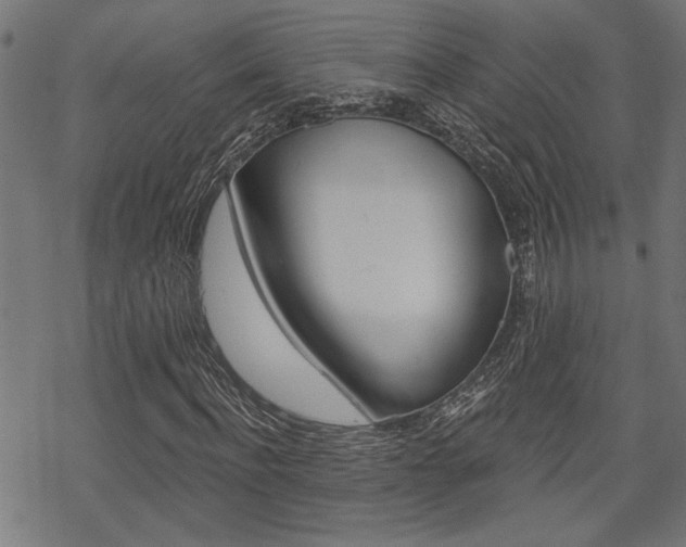 X0000069810916200605190841