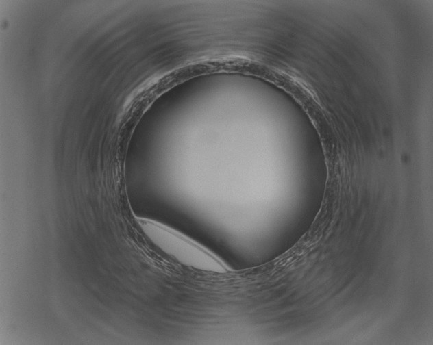X0000069810920200605190841