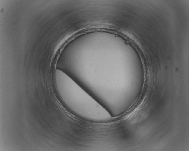 X0000069810925200605190841
