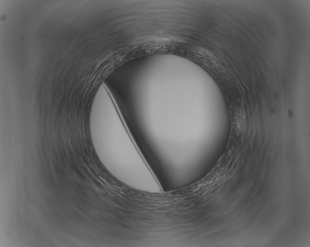 X0000069810964200605190841