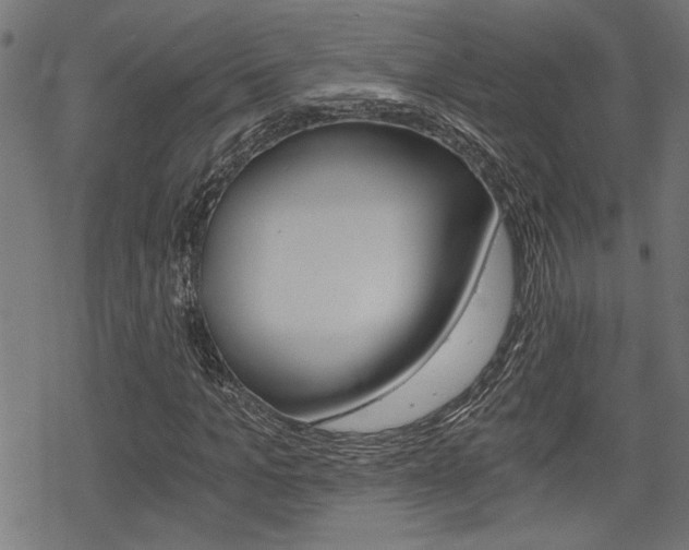 X0000069810965200605190841