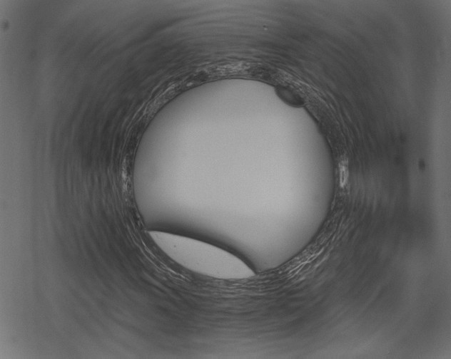 X0000069811011200605190839