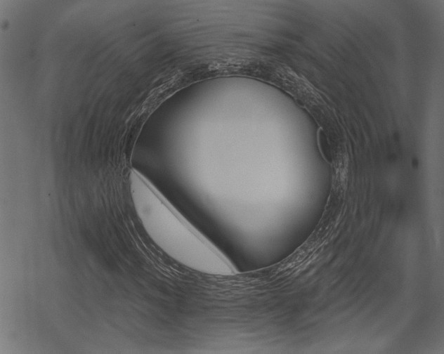 X0000069811012200605190839