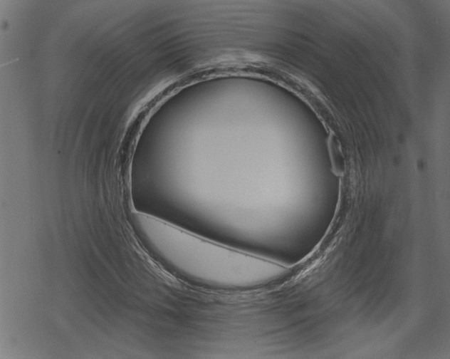 X0000069811018200605190839
