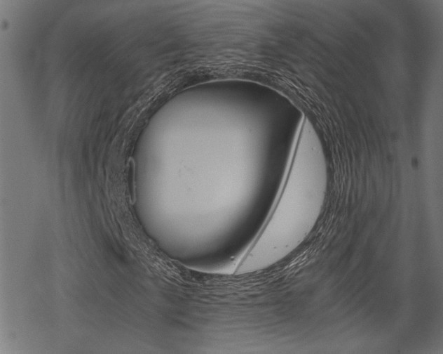 X0000069811057200605190839