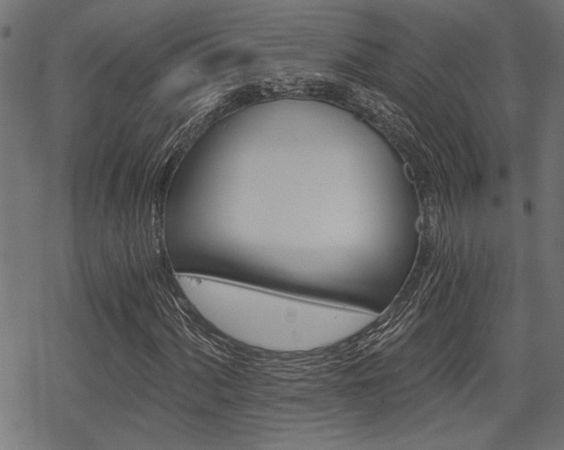 X0000069811060200605190839