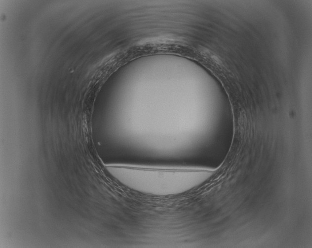 X0000069811062200605190839