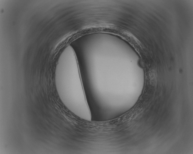 X0000069811064200605190839