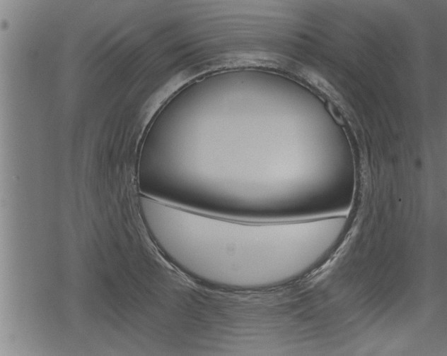 X0000069811089200605190839