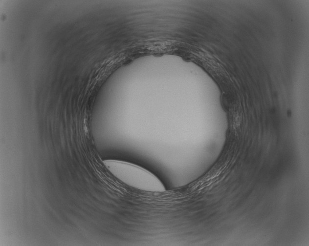 X0000069811106200605190838