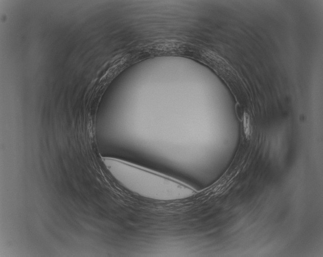 X0000069811107200605190838