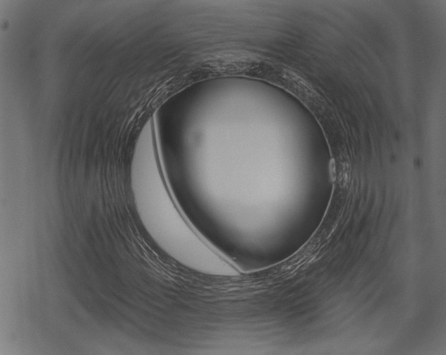 X0000069811108200605190838