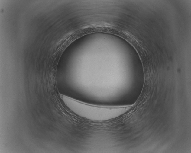 X0000069811110200605190838