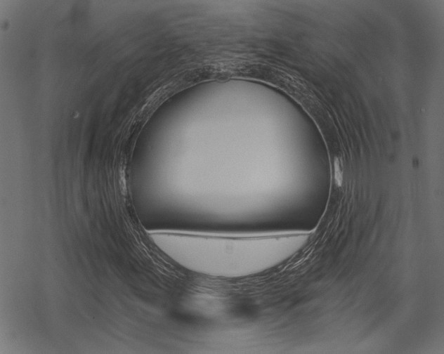 X0000069811155200605190838