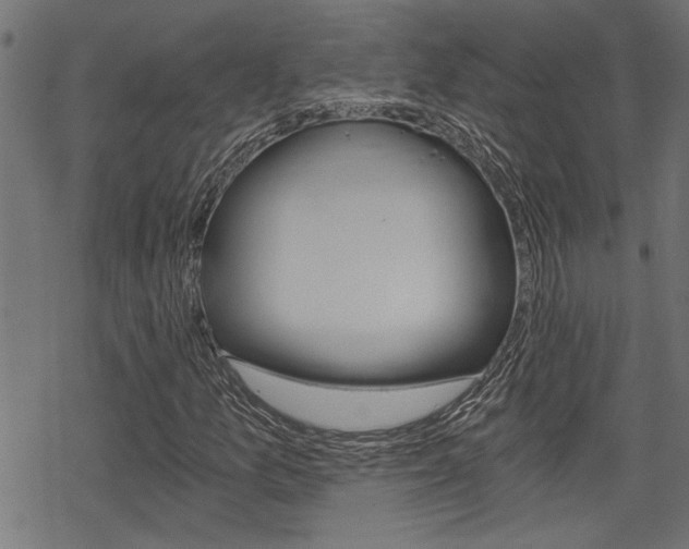 X0000069811157200605190838