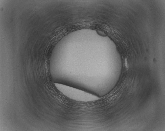 X0000069811203200605190836