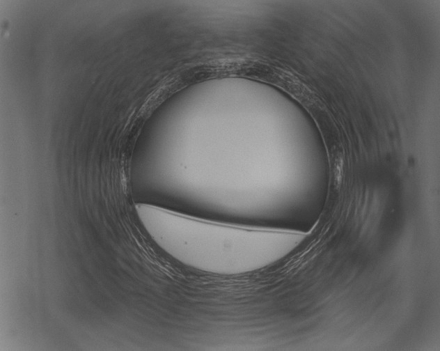 X0000069811204200605190836