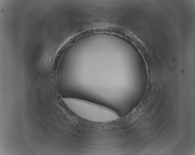 X0000069811208200605190836
