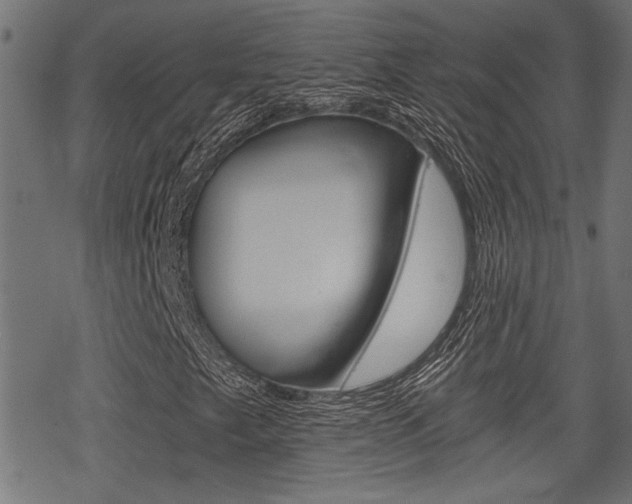 X0000069811249200605190836