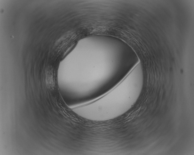 X0000069811250200605190836