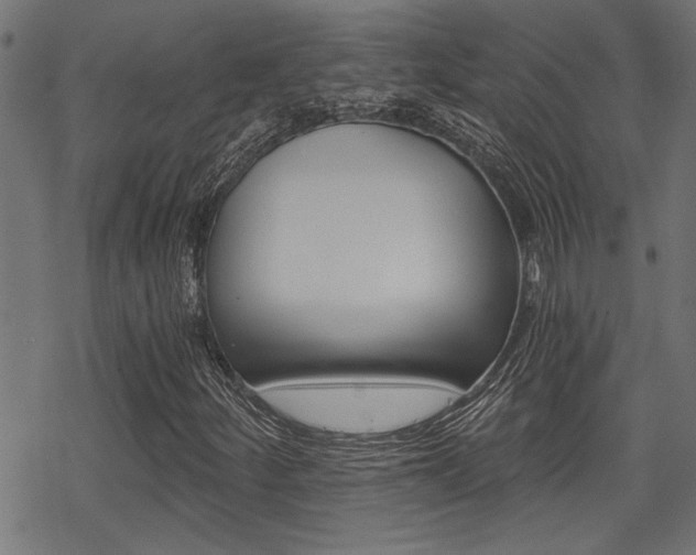 X0000069811252200605190836