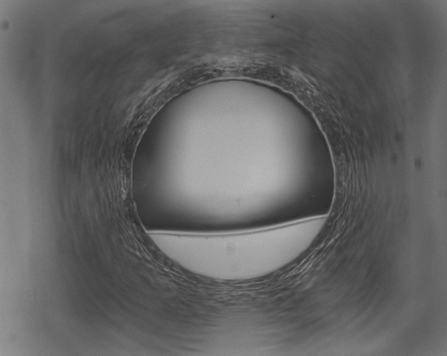 X0000069811253200605190836