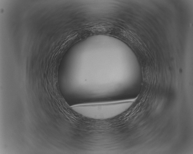 X0000069811297200605190835