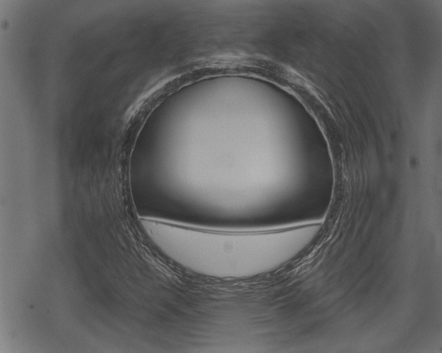 X0000069811304200605190835