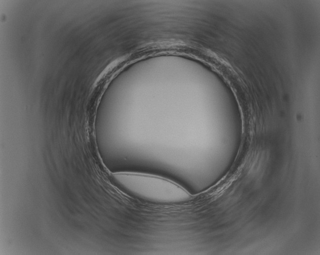 X0000069811306200605190835