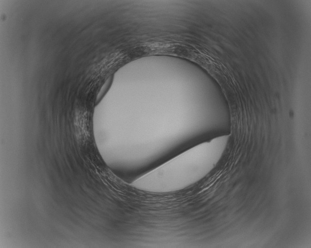 X0000069811346200605190835