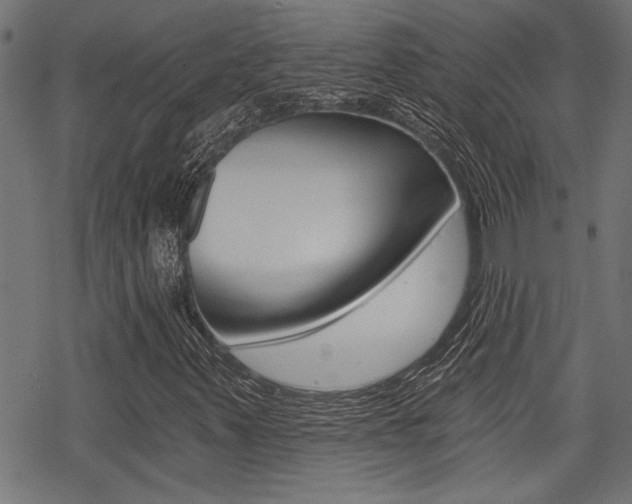 X0000069811347200605190835