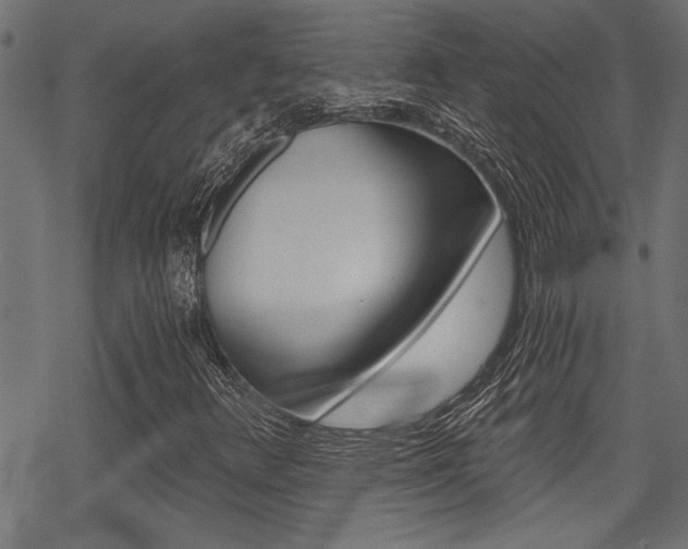 X0000069811348200605190835