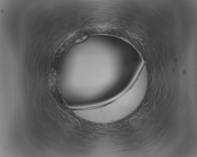 X0000069811349200605190835