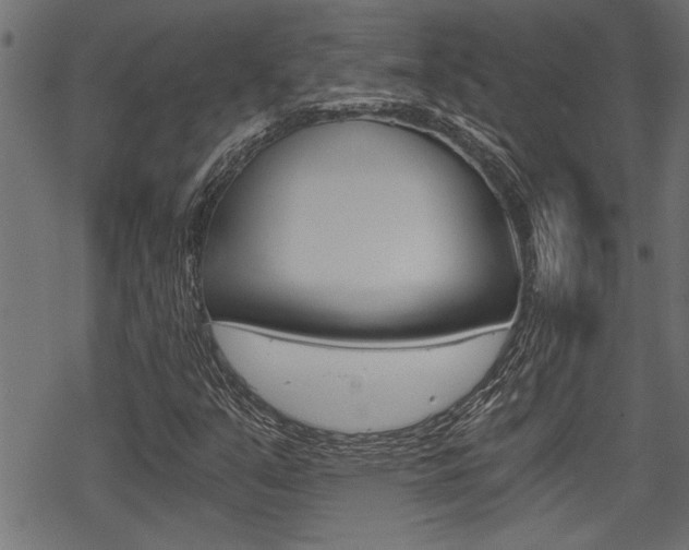 X0000069811351200605190834