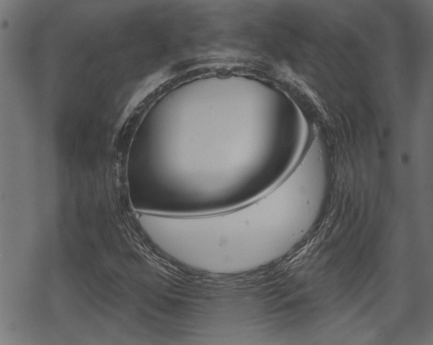 X0000069811352200605190834
