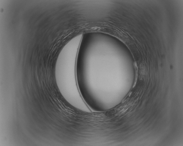 X0000069811394200605190833