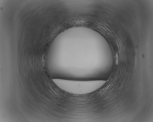 X0000069811395200605190833