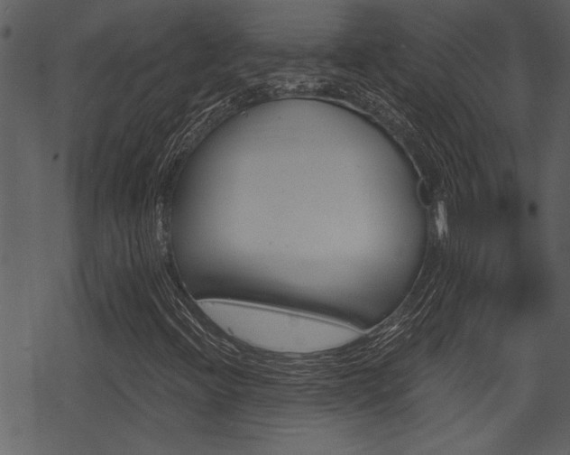 X0000069811396200605190833