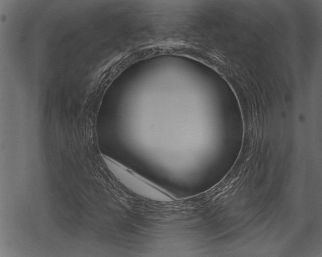 X0000069811398200605190833