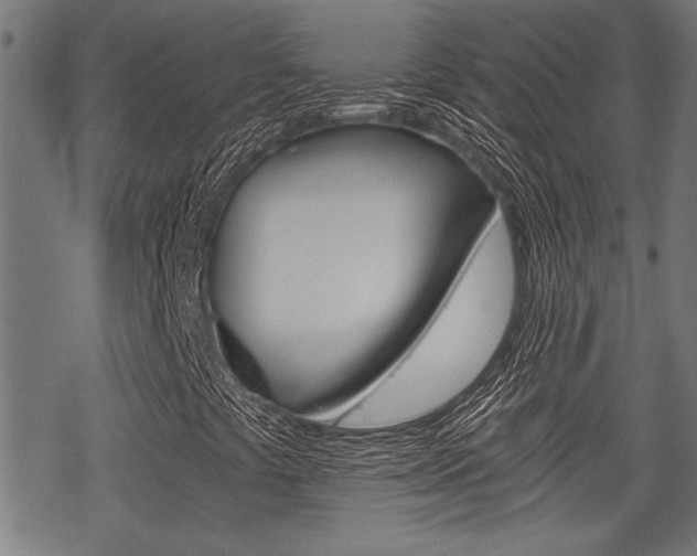 X0000069811441200605190833