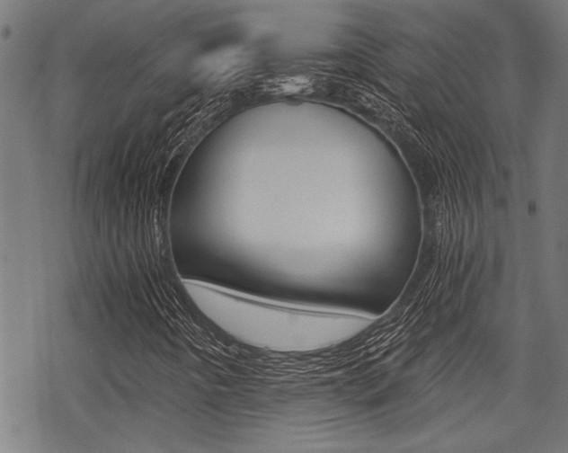X0000069811442200605190833