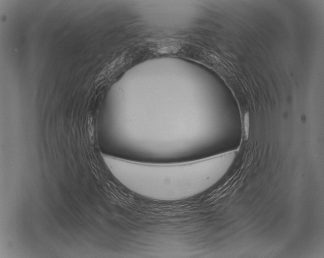 X0000069811443200605190833