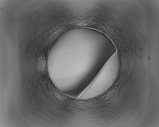 X0000069811444200605190833