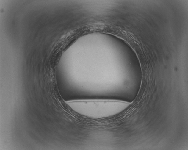 X0000069811445200605190833