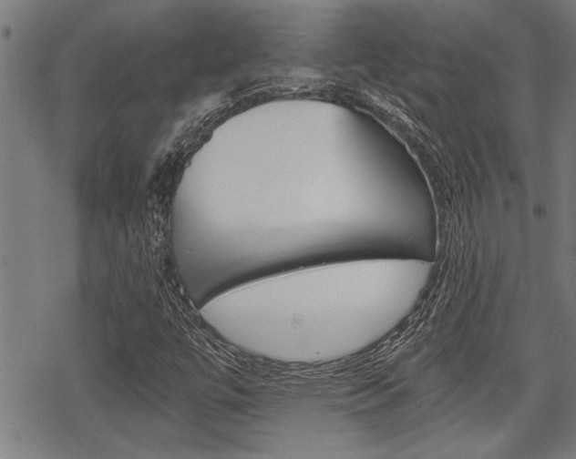 X0000069811447200605190833