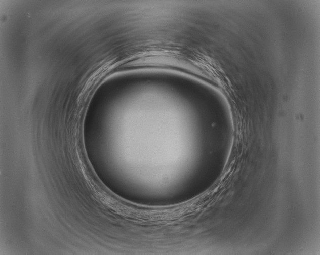 X0000069810001200605191057