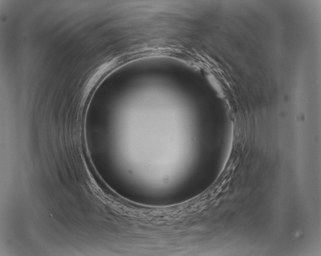 X0000069810003200605191057