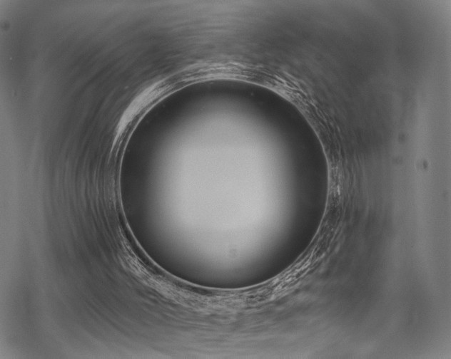 X0000069810004200605191057