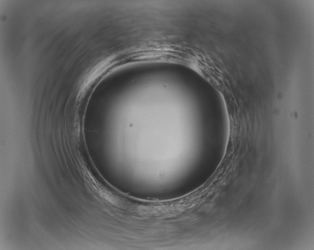 X0000069810005200605191057